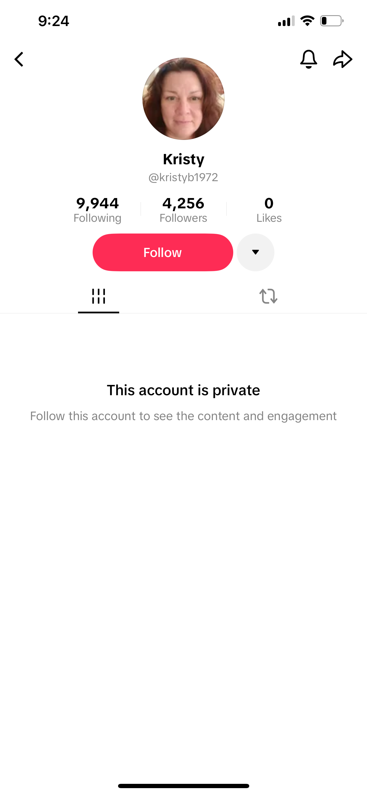 USA TikTok 4K followers