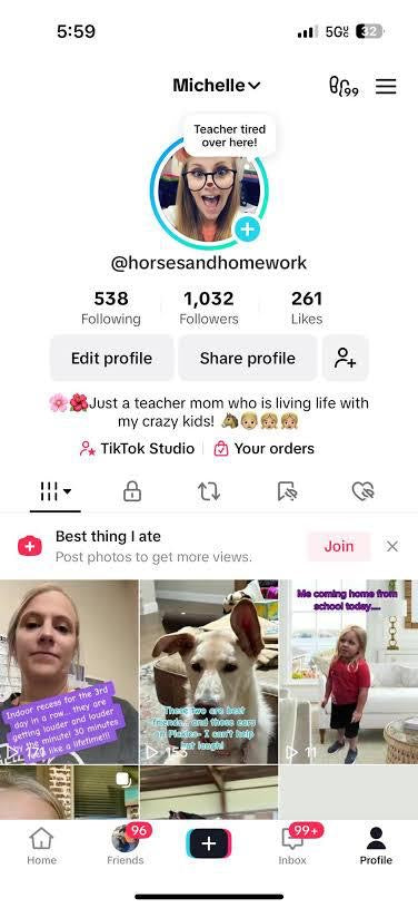 USA TikTok 1k followers