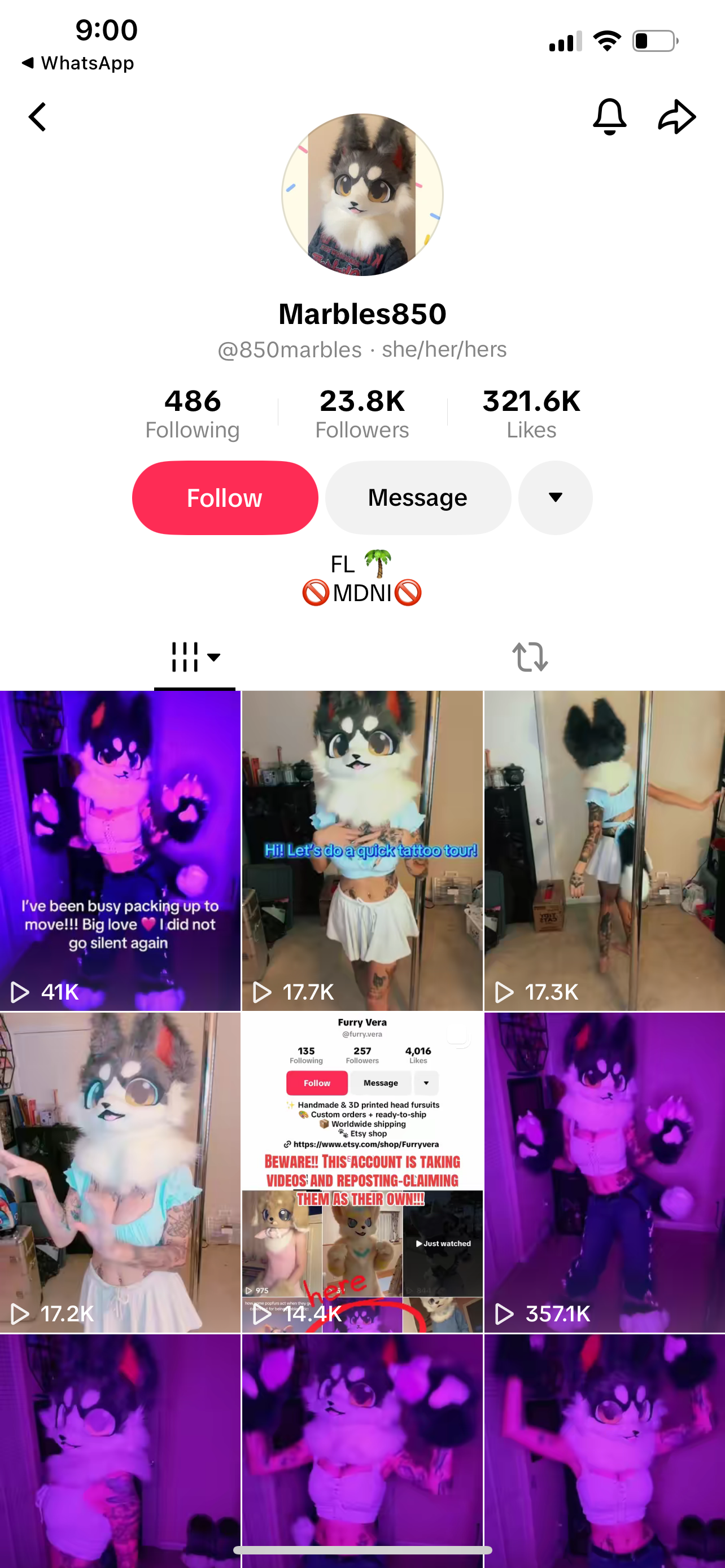 TikTok accounts 23k followers