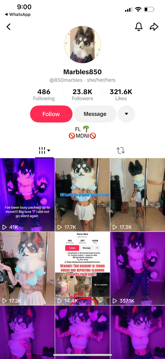 TikTok accounts 23k followers