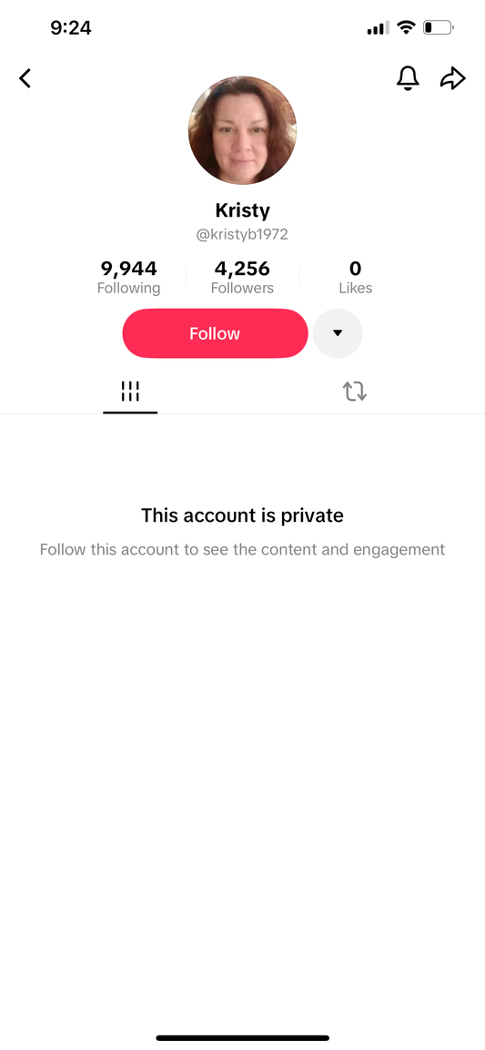 USA TikTok 4K followers